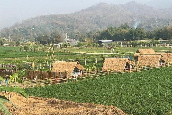 Half-day E-bike Nam Phrae (hilly, fully paved roads, GUIDED) - Food, water, and what you wear in temples