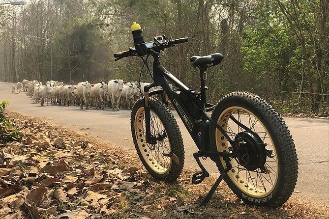 Half-day E-bike Nam Phrae (hilly, fully paved roads, GUIDED) - Should you book this Nam Phrae e-bike tour?