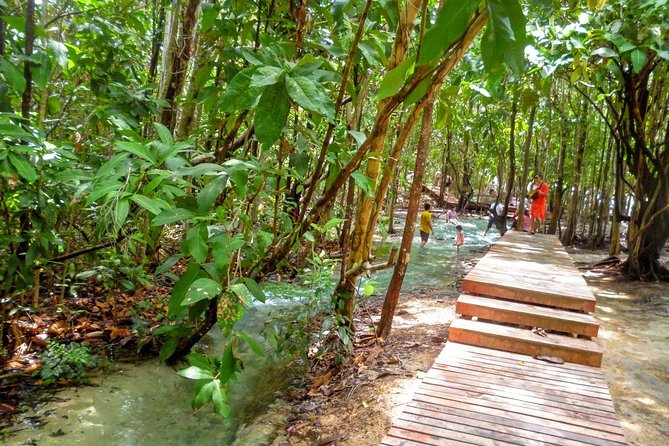 Half-Day Jungle Tour Including Crystal Pool and Krabi Hot Springs - Khlong Thom Jungle in Half a Day: What This Tour Feels Like