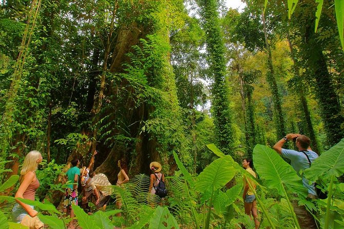 Half-Day Jungle Tour Including Crystal Pool and Krabi Hot Springs - Stop 2: Namtok Ron Hot Spring Waterfall in the Jungle