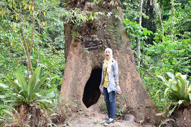 Half-Day Jungle Tour Including Crystal Pool and Krabi Hot Springs - What’s Included (and What You’ll Need to Bring)