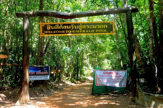 Half-Day Jungle Tour Including Crystal Pool and Krabi Hot Springs - Price and Logistics: Is $39.22 Good Value?