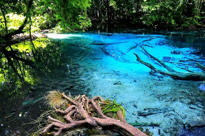 Half Day Jungle Tour to Emerald pool and Krabi Hot Spring - Morning Jungle Route: What This 6-Hour Krabi Tour Feels Like