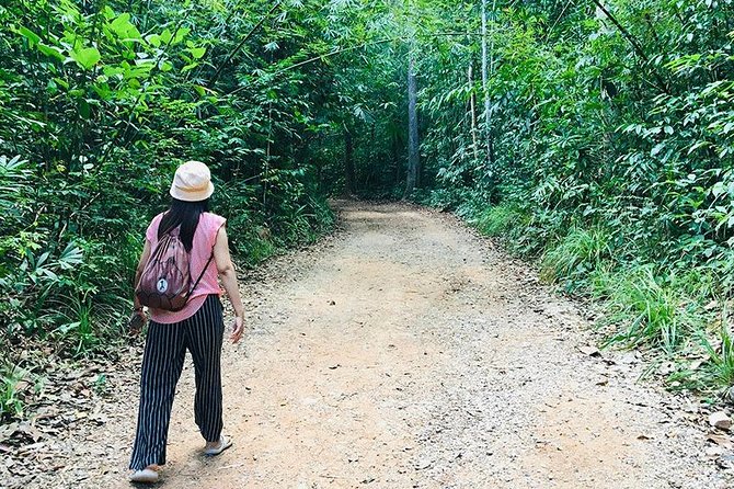Half Day Jungle Tour to Emerald pool and Krabi Hot Spring - The National Park Walk: Short Trek Through Rainforest