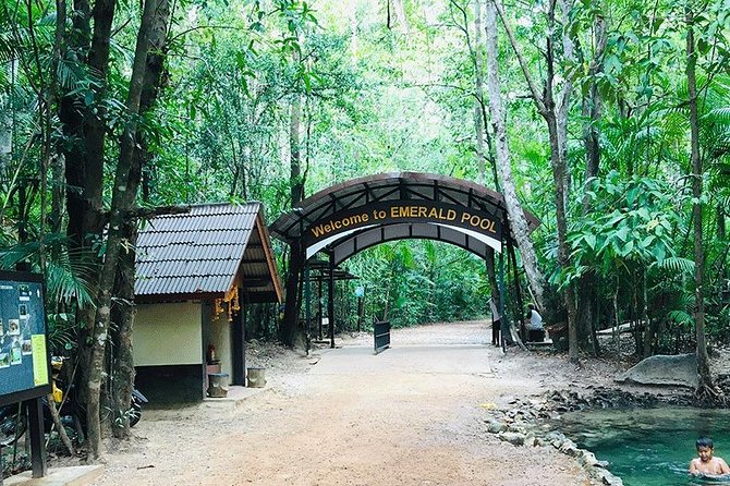 Half Day Jungle Tour to Emerald pool and Krabi Hot Spring - What to Bring (So You Don’t Hate the Heat)