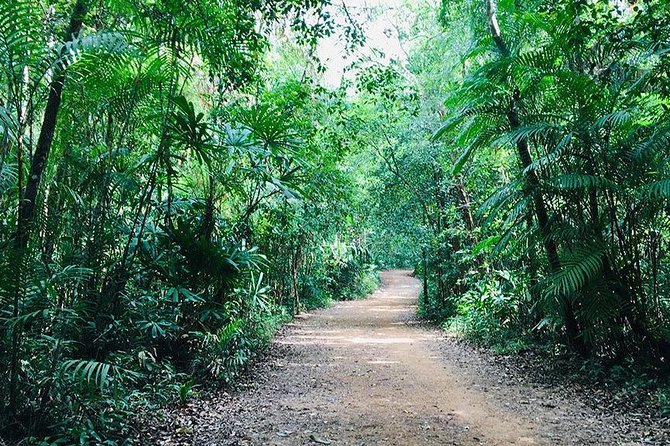 Half Day Jungle Tour to Emerald pool and Krabi Hot Spring - Best Fit: Who This Tour Works For (and Who Should Rethink It)