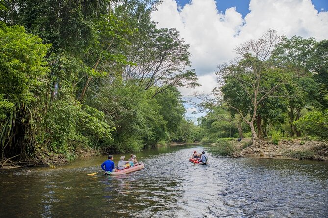 Half Day Khao Sok River Tour By Bamboo Raft From Khao Lak - Khao Sok National Park Stops: Viewpoint and Monkey Temple Time