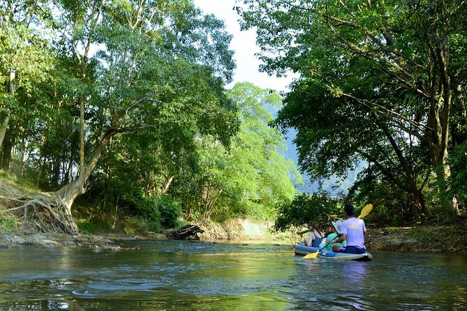 Half Day Khao Sok River Tour By Bamboo Raft From Khao Lak - Weather, Rainy Season, and the Mae Yai Waterfall Option