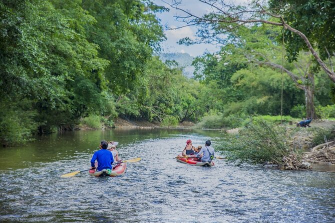 Half Day Khao Sok River Tour By Bamboo Raft From Khao Lak - Price and Value: $65.10 for a Half-Day That’s Mostly a “Journey”