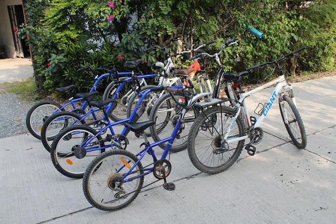 Half-Day Lanna Countryside Cycling Tour in Chiang Mai - Lunch, Helmet, and Water: The Small Inclusions That Matter