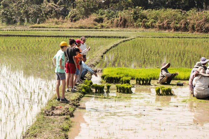 Half-Day Lanna Countryside Cycling Tour in Chiang Mai - Riding the Back Roads: Easy, Scenic, and Surprisingly Engaging