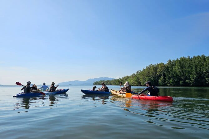 Half Day Mangrove and Lanta Old Town Tour - Key things that make this tour worth your time