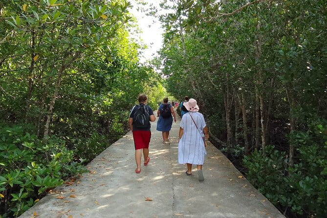Half Day Mangrove and Lanta Old Town Tour - Two Hours on the Water in Thung Yee Pheng Mangrove Forest