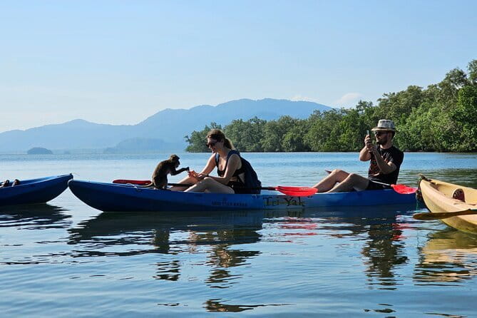 Half Day Mangrove and Lanta Old Town Tour - Village Entrance Fee and Small-Group Reality Check