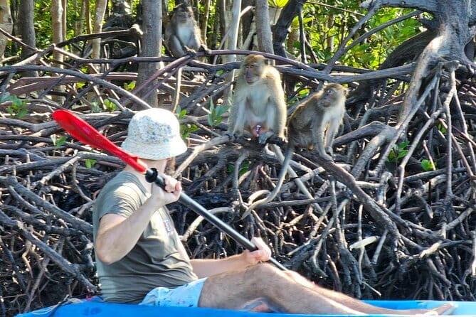 Half Day Mangrove and Lanta Old Town Tour - Wildlife Tips: Crabs, Mudskippers, and Hawksbill Turtles