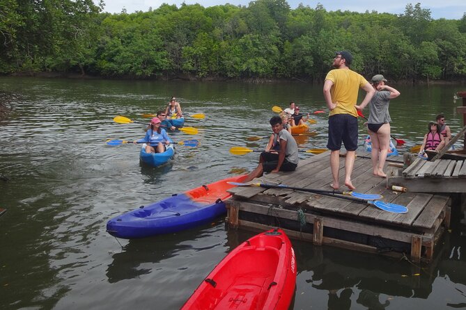 Half day Mangrove by Kayaking or Longtail boat from Koh Lanta - Why Thungyeepeng Mangroves Are Worth a Short Trip