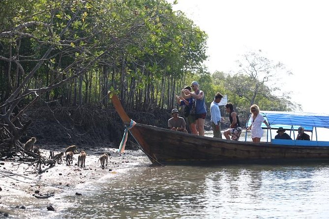 Half day Mangrove by Kayaking or Longtail boat from Koh Lanta - Stop 2: Thungyeepeng area and Monkey Point feeding