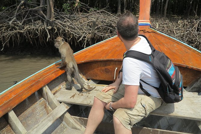 Half day Mangrove by Kayaking or Longtail boat from Koh Lanta - Timing, weather, and tide can shape your day