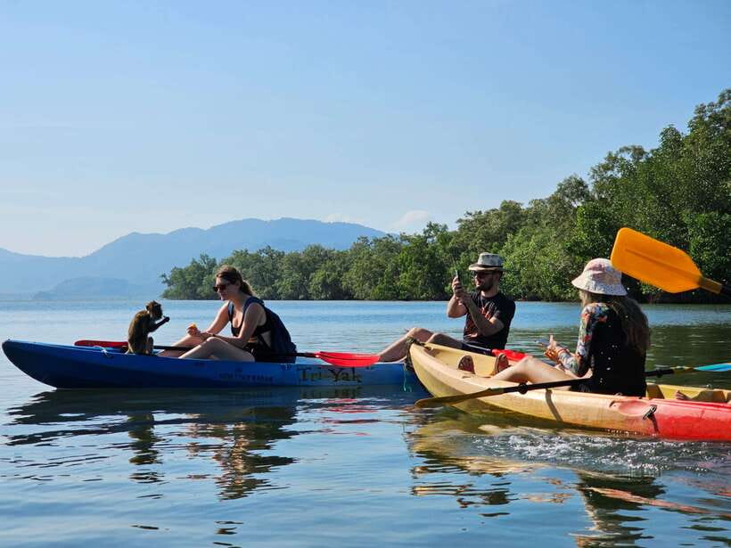Half Day Mangrove Forest (Morning or Afternoon) - Why the Thung Yee Peng mangroves feel different from a normal boat ride