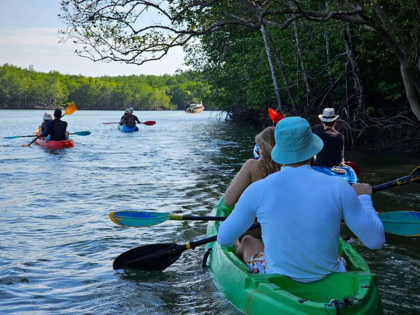 Half Day Mangrove Forest (Morning or Afternoon) - Kayak vs longtail boat: match the mangroves to your energy