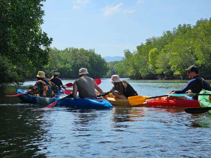 Half Day Mangrove Forest (Morning or Afternoon) - Price and value: what you pay for (and what you still need to budget)