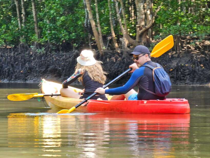 Half Day Mangrove Forest (Morning or Afternoon) - FAQ