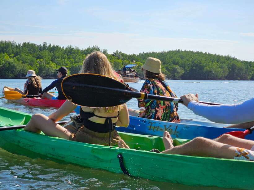 Half Day Mangrove Forest (Morning or Afternoon) - The half-day flow on Koh Lanta: pickup, pier walk, and the water time