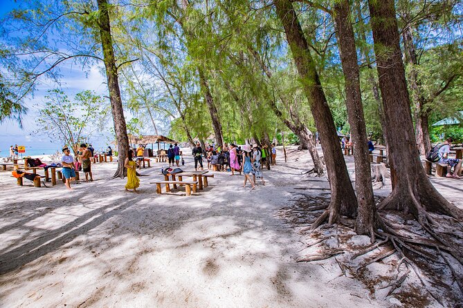 Half-Day Morning Bamboo Island Tour from Phi Phi by Longtail Boat - Monkey Beach and Shark Point: Wildlife Moments Without the Big Hassle
