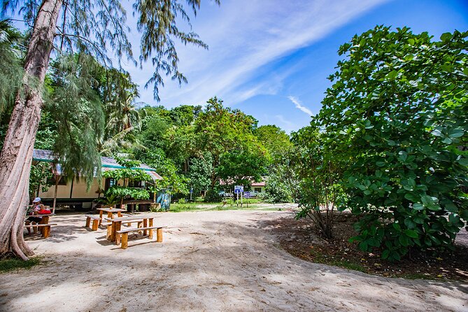 Half-Day Morning Bamboo Island Tour from Phi Phi by Longtail Boat - The Island Beach Break: Lunch, Fruit, and a Real Pause