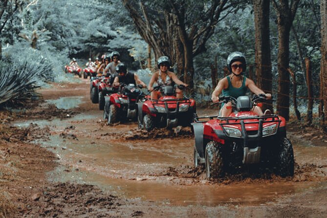 Half Day Phuket City Tour with ATV - Big Bee Farm: A Quick Look at Local Food and Farming