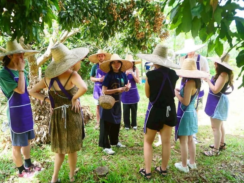 Half-Day Thai Cooking Class on a Local Farm Near Chiang Mai - From pick-up to flavor choices: the value of starting at the market