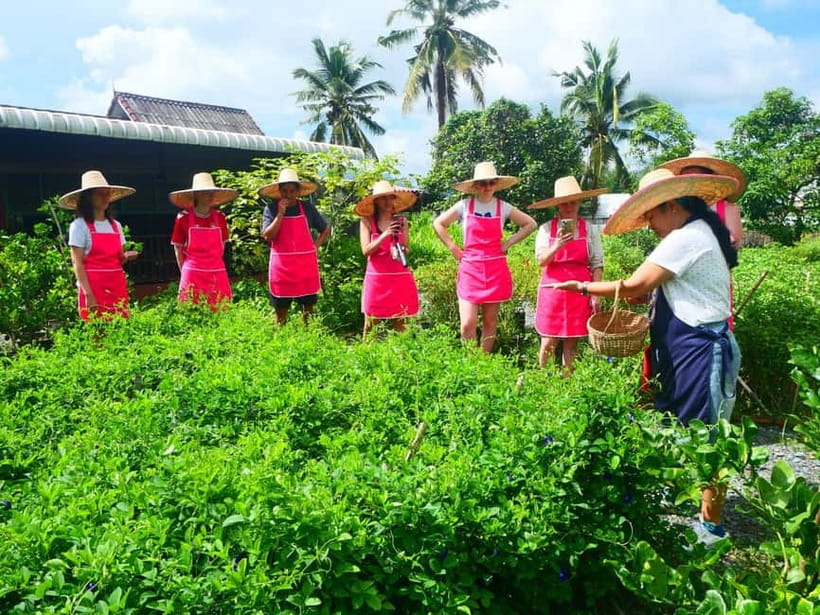Half-Day Thai Cooking Class on a Local Farm Near Chiang Mai - What the guide experience feels like in real life