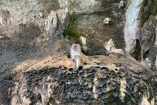 Half Day Tour Around Phi Phi Islands By Private Longtail Boat From Phi Phi - Weather, Rescheduling, and the Real Safety Factor