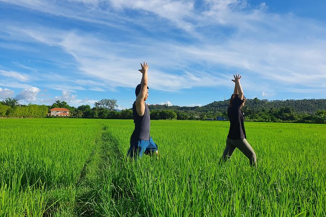 Half-Day Yoga, Meditation, and Thai Cultural Immersion in Chiang Mai - Why This Half-Day Yoga and Wat Phra That Doi Saket Combo Works