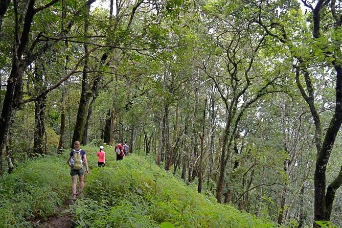 High Mountain Day Trek - High Mountain Day Trek at a Glance