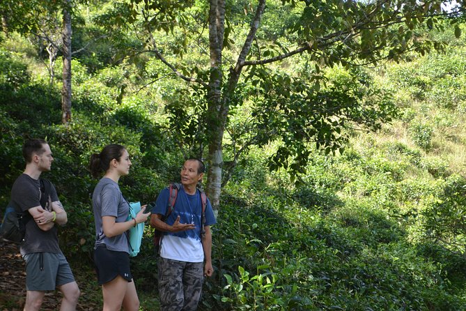 High Mountain Day Trek - Snacks, Water, and Breaks That Keep the Day Enjoyable