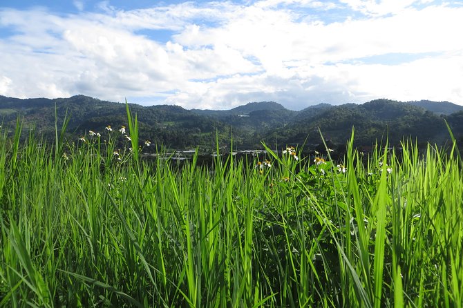 High Mountain Day Trek - The Village Stop: Tea or Coffee With Local Life
