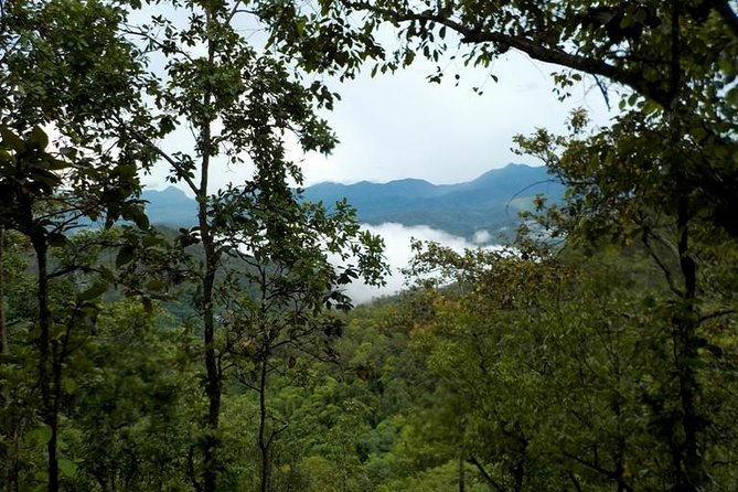 High Mountain Day Trek - Guides Make or Break the Experience