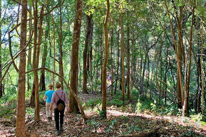 High Mountain Day Trek - Price and Value: Is $63 a Good Deal?