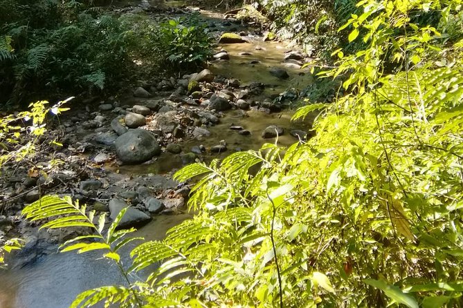 Hiking and Zipline Private Tour from Chiang Mai +Karen Village - Price and Value: Is $162.50 a Smart Deal?