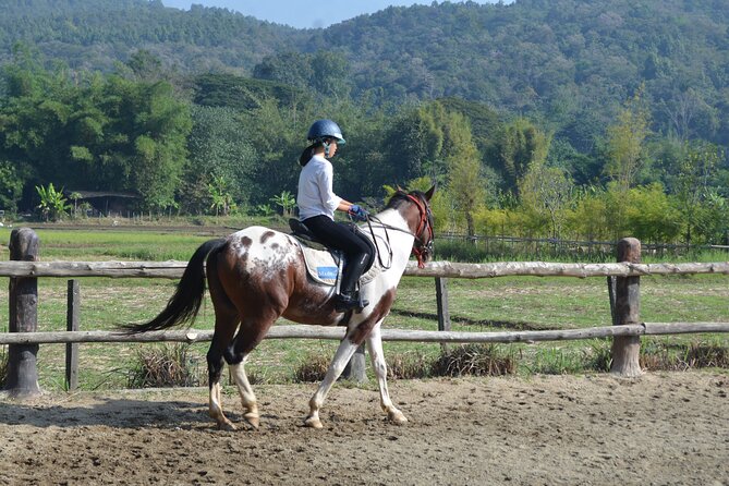 Horse Lesson+Riding+Wat Tonkwen wooden temple.Chiangmai - Key Points You’ll Care About