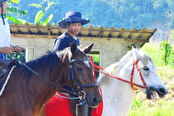 Horse Lesson+Riding+Wat Tonkwen wooden temple.Chiangmai - Horse Lesson and Wat Ton Kwen: Why This Tour Works