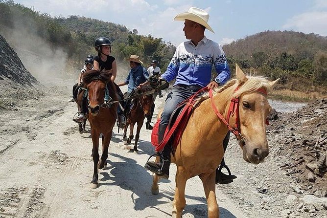 Horse Lesson+Riding+Wat Tonkwen wooden temple.Chiangmai - The Horse Park Lesson: What You Should Expect in the First Hour