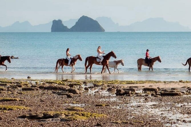Horse Riding and Beach Trails on Koh Samui - Checking In at COLTS: The Part That Makes the Ride Go Smoothly