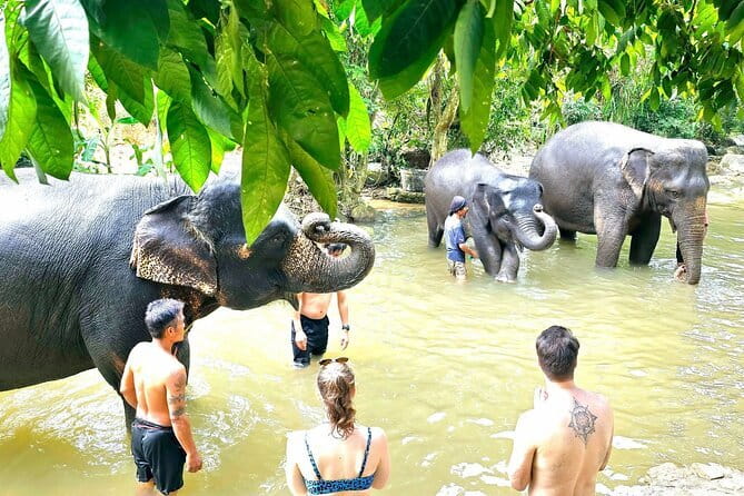 Horse Riding and Beach Trails on Koh Samui - Price and Value: What $81.38 Buys You for About an Hour