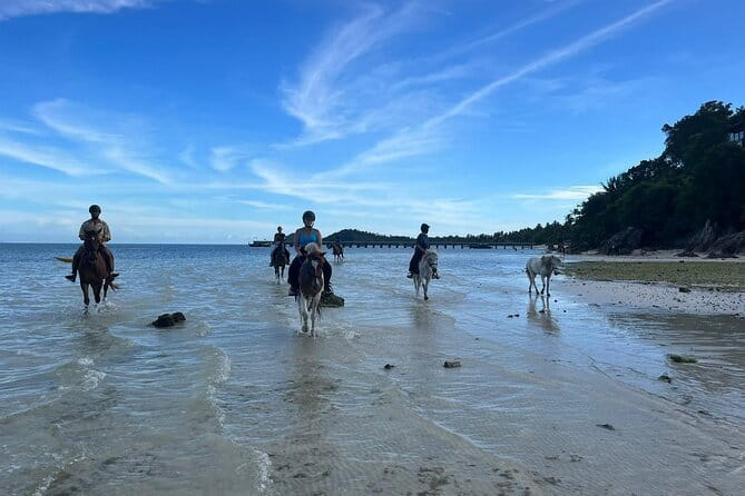 Horse Riding and Beach Trails on Koh Samui - My Booking Advice: Should You Go to COLTS?