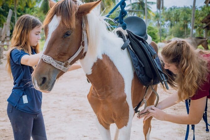 Horse Riding and Beach Trails on Koh Samui - Tropical Gardens to Beach Trails: What the One Hour Looks Like