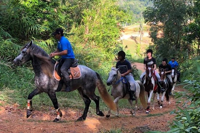 Horseback Riding 1 hour trail - Key Highlights You’ll Feel Immediately