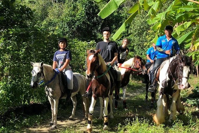 Horseback Riding 1 hour trail - Meeting the Team and Getting Set Up at the Stable