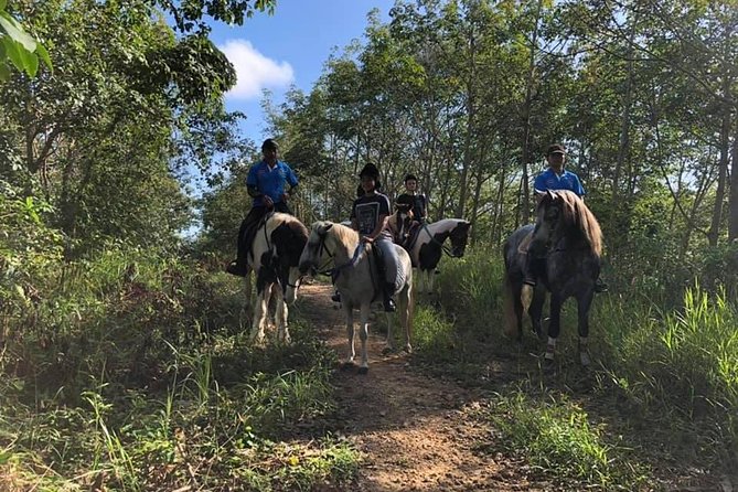 Horseback Riding 1 hour trail - Price and Value: Is $68 Worth It?